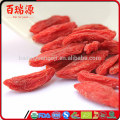 Goji Beere Emagrece Goji Büsche Goji Beeren Vitamin c